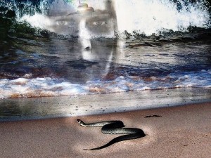 Image of a snake