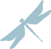 Image of dragonfly