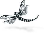 Image of dragonfly