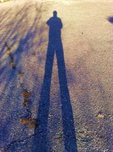 Image of long legs cast by a shadow